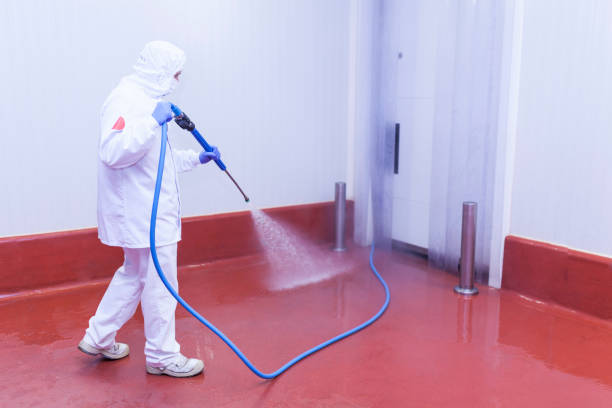Best Gutter Cleaning  in French Mp, CA