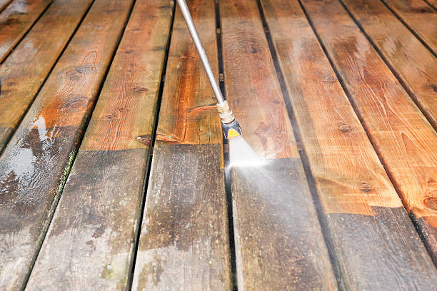 Best Dumpster Area Cleaning  in French Mp, CA